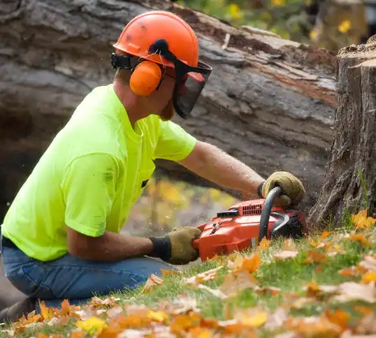 tree services Sargent